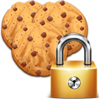 Normativa sui cookie, obbligo dal 3 giugno 2015: il vostro negozio online è in regola?